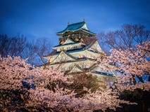 Osaka castle among cherry blossom trees (sakura) in the evening scene stock photography Osaka castle among cherry blossom trees (sakura) in the evening scene stock photography