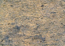 OSB panel texture royalty free stock photography OSB panel texture royalty free stock photography