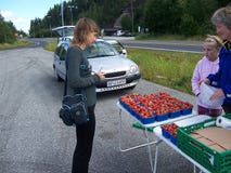 Oslo, Norvège - 19 juillet 2007 : La jeune femme achète des fraises sur le marché en plein air photos libres de droits Oslo, Norvège - 19 juillet 2007 : La jeune femme achète des fraises sur le marché en plein air photos libres de droits