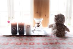 Oso de peluche solo que mira hacia fuera la ventana imágenes de archivo libres de regalías Oso de peluche solo que mira hacia fuera la ventana imágenes de archivo libres de regalías