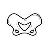 Osso pelvico isolato Anatomia dell'osso Parte dello scheletro umano illustrazione di stock Osso pelvico isolato Anatomia dell'osso Parte dello scheletro umano illustrazione di stock