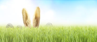 Osterhase im Gras stockfotos Osterhase im Gras stockfotos