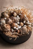 Ostern-Zusammensetzung von Ostern-Wachteleiern im Nest auf hellem Hintergrund Retro- Abbildung der Weinlese style stockbilder Ostern-Zusammensetzung von Ostern-Wachteleiern im Nest auf hellem Hintergrund Retro- Abbildung der Weinlese style stockbilder