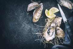 ostryga Świeży ostrygi zbliżenie z nożem na ciemnym tle Ostrygowy gość restauracji w restauraci pojęcia odżywczy karmowy wyśmieni obrazy royalty free ostryga Świeży ostrygi zbliżenie z nożem na ciemnym tle Ostrygowy gość restauracji w restauraci pojęcia odżywczy karmowy wyśmieni obrazy royalty free