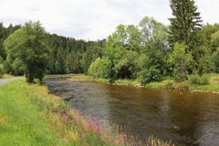 Otava-Fluss, Tschechische Republik stockbilder Otava-Fluss, Tschechische Republik stockbilder