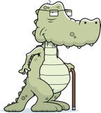 Oude Alligator royalty-vrije illustratie Oude Alligator royalty-vrije illustratie