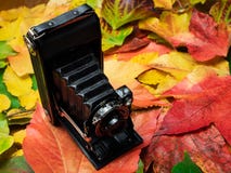 Oude camera op de herfstbladeren royalty-vrije stock afbeeldingen Oude camera op de herfstbladeren royalty-vrije stock afbeeldingen