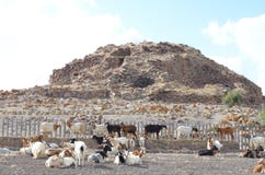 Oude Nuraghe van Seruci, Sardinige royalty-vrije stock fotografie Oude Nuraghe van Seruci, Sardinige royalty-vrije stock fotografie