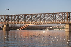 Oude spoorwegbrug in Belgrado stock foto Oude spoorwegbrug in Belgrado stock foto