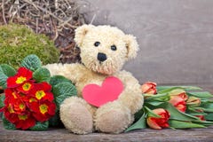 Ours de nounours Image libre de droits Ours de nounours Image libre de droits