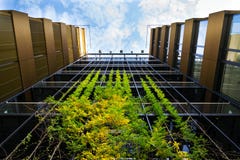 Outdoor green living wall, vertical garden on modern office building stock images Outdoor green living wall, vertical garden on modern office building stock images