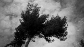 outdoors fotografia de stock royalty free outdoors fotografia de stock royalty free