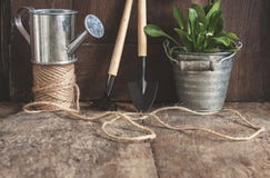 Outils de jardin, pelle, râteau, boîte d'arrosage, seau, comprimés pour le pl Images libres de droits Outils de jardin, pelle, râteau, boîte d'arrosage, seau, comprimés pour le pl Images libres de droits