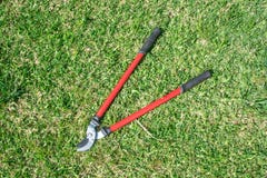 Outils de jardinage sur le fond vert d'herbe photos libres de droits Outils de jardinage sur le fond vert d'herbe photos libres de droits
