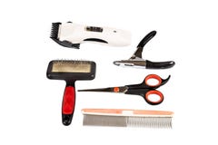 Outils et accessoires de toilettage de chien réglés photo libre de droits Outils et accessoires de toilettage de chien réglés photo libre de droits