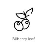 outline bilberry leaf vector icon. isolated black simple line element illustration from nature concept. editable vector stroke vector illustration outline bilberry leaf vector icon. isolated black simple line element illustration from nature concept. editable vector stroke vector illustration