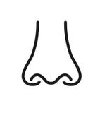 Outline icon human senses: smell nose. Vector symbol isolated on background vector illustration Outline icon human senses: smell nose. Vector symbol isolated on background vector illustration