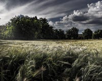 Outskirts of Madrid, Spain, April 2018 royalty free stock photography Outskirts of Madrid, Spain, April 2018 royalty free stock photography