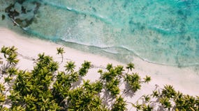 Ovanför den vita stranden Palmträd och vatten royaltyfria foton Ovanför den vita stranden Palmträd och vatten royaltyfria foton