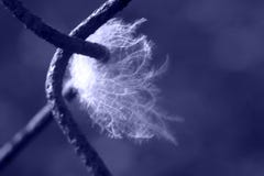 Overcome all obstacles royalty free stock photos Overcome all obstacles royalty free stock photos