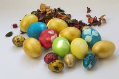 Ovos pintados da galinha e de codorniz da Páscoa entre o animal de estimação secado da flor fotos de stock Ovos pintados da galinha e de codorniz da Páscoa entre o animal de estimação secado da flor fotos de stock