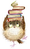 Owl. cute owl. watercolor forest bird. school books illustration. cartoon bird