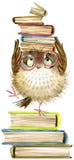 Owl. cute owl. watercolor forest bird. school books illustration. cartoon bird