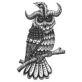 Owl decoration vintage vector illustration stock illustration Owl decoration vintage vector illustration stock illustration