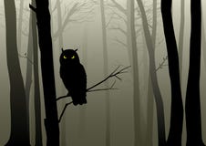 Free Owl In The Misty Woods Stock Photo - 70031370