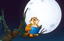 Owl Reading un libro illustrazione vettoriale Owl Reading un libro illustrazione vettoriale