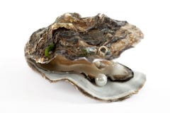 Oyster with pearl