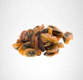 Oysters or Chinese style sun dried oysters on background. Royalty Free Stock Photography Oysters or Chinese style sun dried oysters on background. Royalty Free Stock Photography