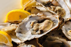 Oysters Plate Royalty Free Stock Photos