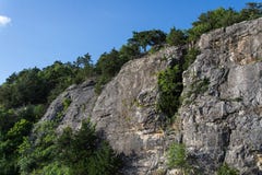 Ozark Cliffs e paesaggio degli alberi immagini stock Ozark Cliffs e paesaggio degli alberi immagini stock