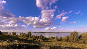 Ozeanbank- und -graswiese timelapse zur Sommer- oder Herbstzeit Wilde Natur, Seeküste und ländliches Feld stock footage Ozeanbank- und -graswiese timelapse zur Sommer- oder Herbstzeit Wilde Natur, Seeküste und ländliches Feld stock footage