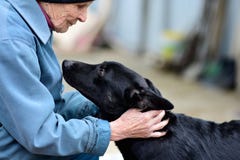 Ozersk, r?gion de Chelyabinsk, F?d?ration de Russie - 25 peuvent 2019 Une femme ag?e dans un refuge pour animaux photographie stock Ozersk, r?gion de Chelyabinsk, F?d?ration de Russie - 25 peuvent 2019 Une femme ag?e dans un refuge pour animaux photographie stock