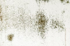 Oídio orgânico velho da oxidação rústica da parede da textura do marrom do fundo do Grunge Imagens de Stock Oídio orgânico velho da oxidação rústica da parede da textura do marrom do fundo do Grunge Imagens de Stock