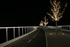 Освещенная тропа с водить в опасную темноту стоковое фото Освещенная тропа с водить в опасную темноту стоковое фото