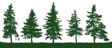 Forest fir trees silhouette. Christmas tree vector illustration Forest fir trees silhouette. Christmas tree vector illustration