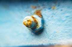Ośniedziały rygiel czmycha błękitna żelazo powierzchnia abstrakcja Makro- fotografia fotografia royalty free Ośniedziały rygiel czmycha błękitna żelazo powierzchnia abstrakcja Makro- fotografia fotografia royalty free