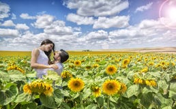 Paar van minnaars op gebied van Zonnebloemen stock foto Paar van minnaars op gebied van Zonnebloemen stock foto