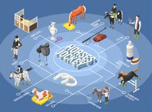 Paarden en Jockey Isometric Flowchart royalty-vrije illustratie Paarden en Jockey Isometric Flowchart royalty-vrije illustratie