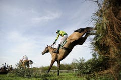 Paardenrennen Paardenrennen