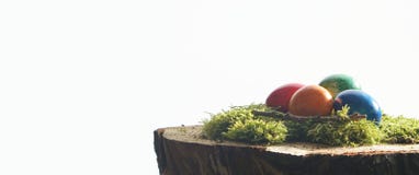 Paaseieren en groene moos bij houten blok Stock Afbeeldingen Paaseieren en groene moos bij houten blok Stock Afbeeldingen