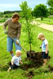 Padre y sus niños que plantan el árbol imagen de archivo libre de regalías Padre y sus niños que plantan el árbol imagen de archivo libre de regalías