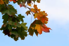 Paesaggio di autunno fotografia stock libera da diritti Paesaggio di autunno fotografia stock libera da diritti