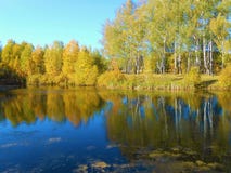 Paesaggio di autunno sullo stagno fotografie stock Paesaggio di autunno sullo stagno fotografie stock