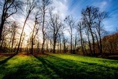 Paesaggio di inverno degli alberi nudi al tramonto fotografie stock Paesaggio di inverno degli alberi nudi al tramonto fotografie stock