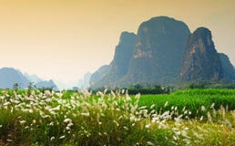 Paesaggio di morfologia carsica nella provincia di Guangxi, Cina immagine stock libera da diritti Paesaggio di morfologia carsica nella provincia di Guangxi, Cina immagine stock libera da diritti