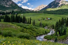 Paesaggio e wildflowers crestati della montagna di colorado della collina fotografie stock Paesaggio e wildflowers crestati della montagna di colorado della collina fotografie stock